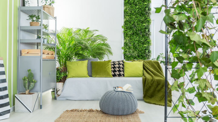 Prepara tu propio jardín vertical casero