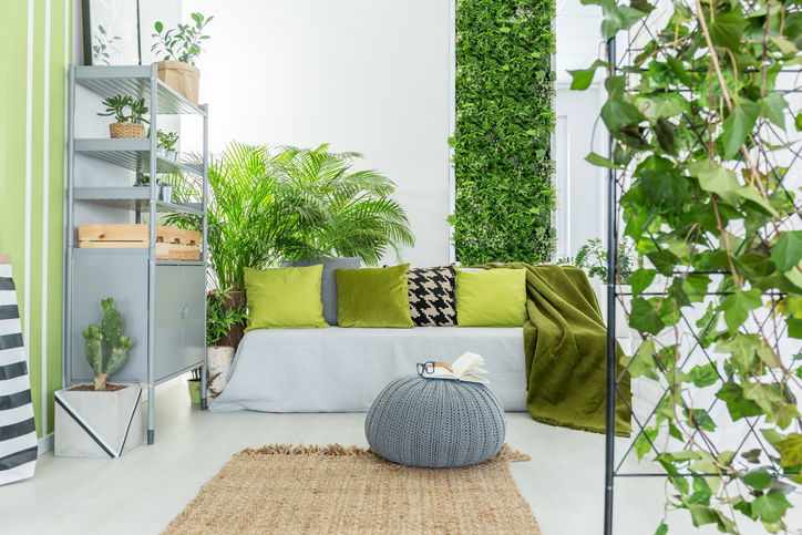Prepara tu propio jardín vertical casero