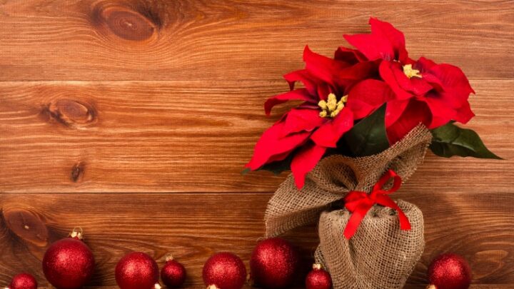Adornos navideños imprescindibles en tu decoración de Navidad