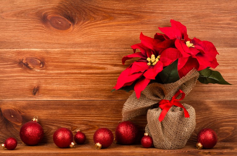 Adornos navideños imprescindibles en tu decoración de Navidad