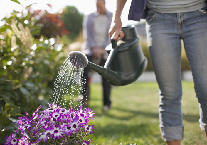 jardinería y paisajismo sostenible