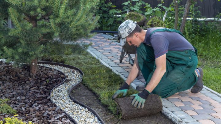 Estrategias de Jardinería y Paisajismo Sostenible para tu Jardín