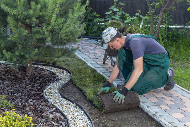 Estrategias de Jardinería y Paisajismo Sostenible para tu Jardín